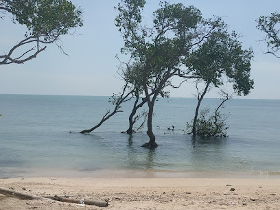 Pantai Lohgung