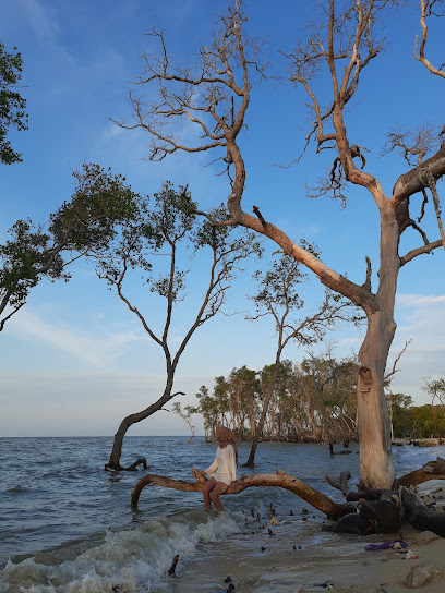 Pantai Moersodo