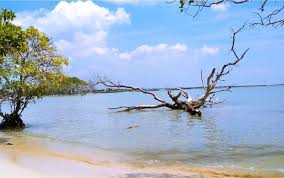 Pantai Joko Mursodo